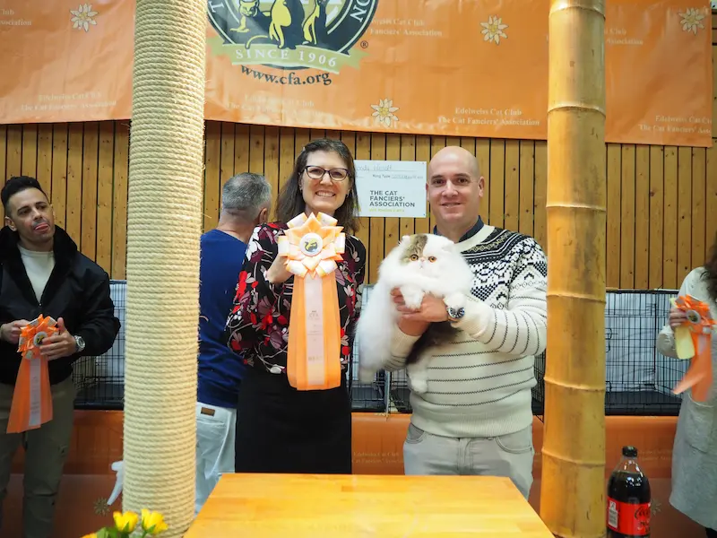 Foto del premio de GC RW Chicarabian Bandolero