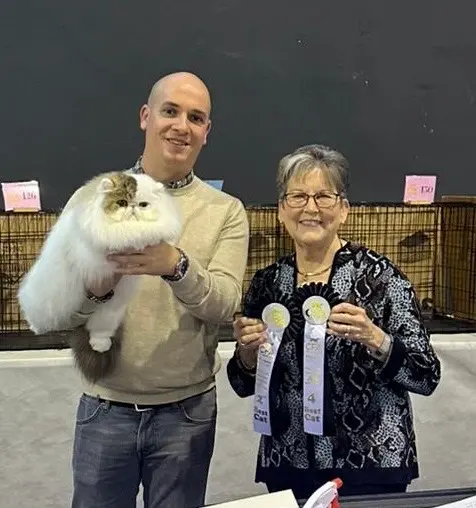 Foto de Padova American CFA Cat Show