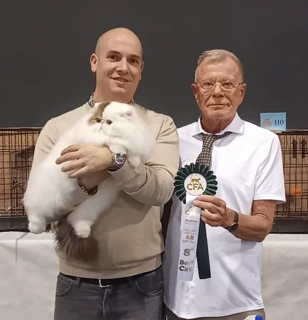 Foto del premio de GC RW Chicarabian Bandolero