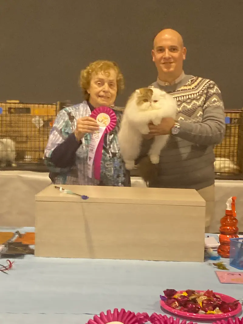 Foto del premio de GC RW Chicarabian Bandolero