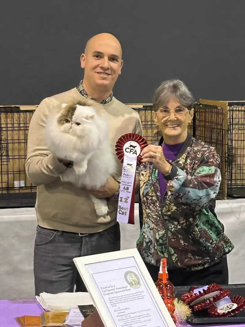 Foto del premio de GC RW Chicarabian Bandolero