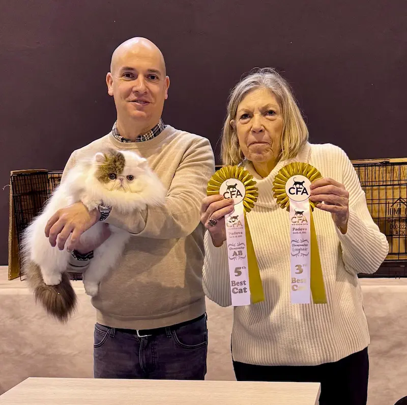 Foto del premio de GC RW Chicarabian Bandolero