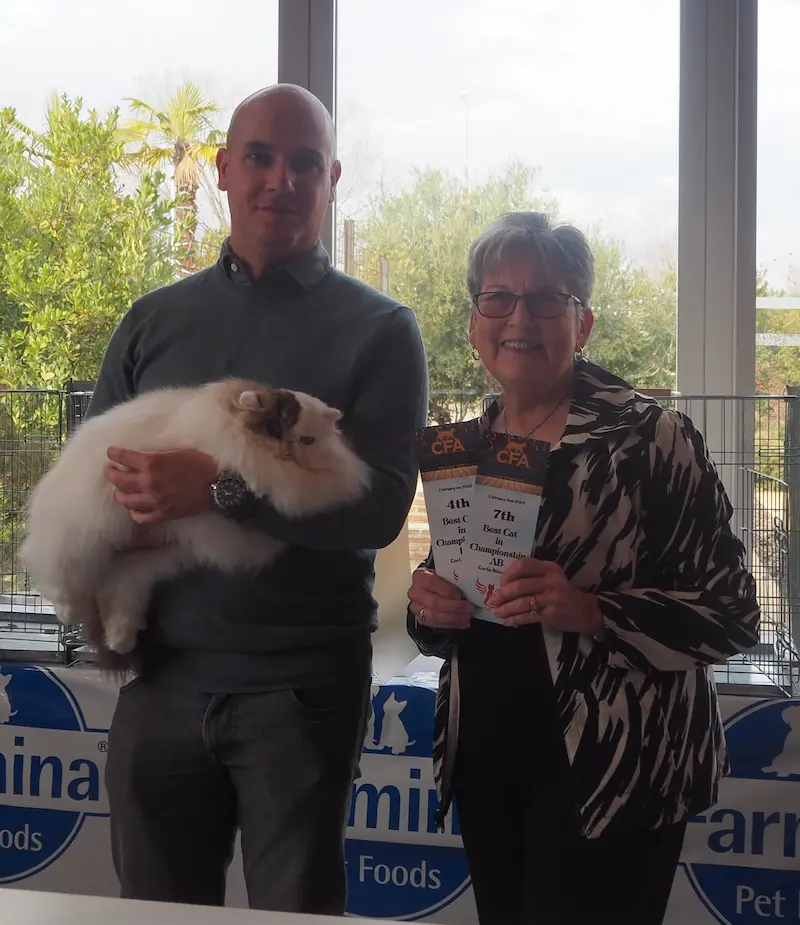 Foto del premio de GC RW Chicarabian Bandolero