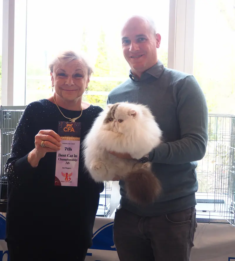 Foto del premio de GC RW Chicarabian Bandolero