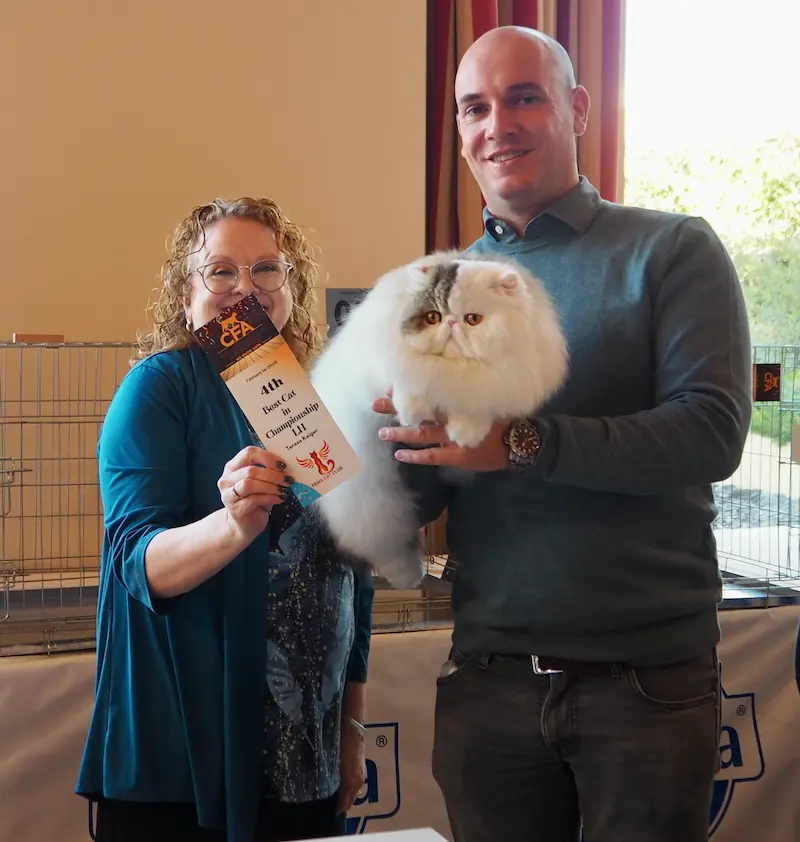 Foto del premio de GC RW Chicarabian Bandolero