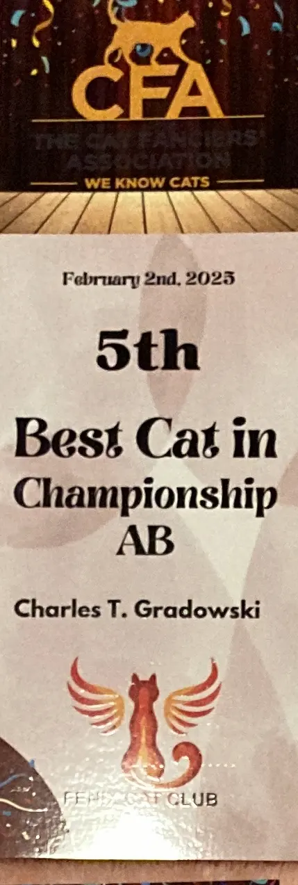 Foto del premio de GC RW Chicarabian Bandolero