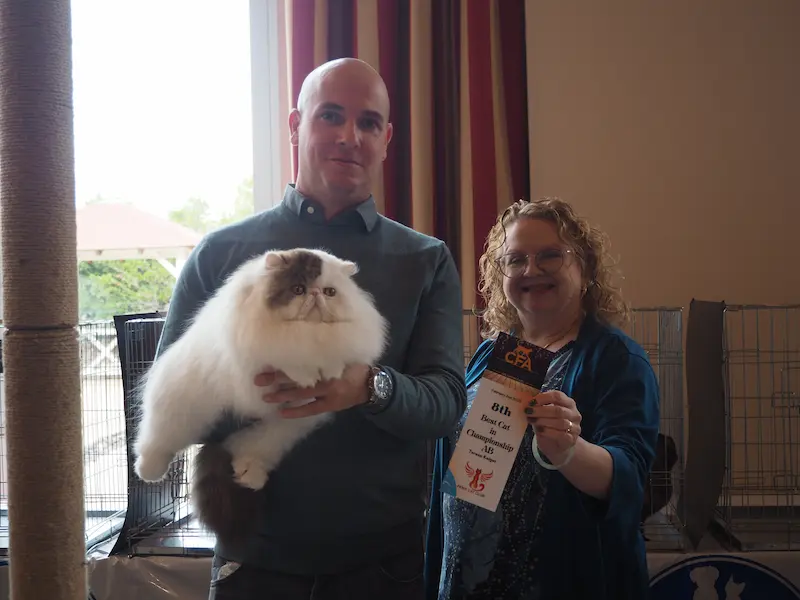 Imagen de la galería Resumen Fotográfico - Fenix Paw Parade International CFA Cat Show 2025 2