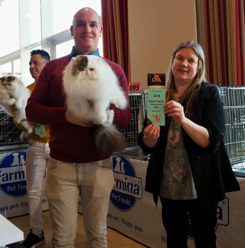 Imagen de la galería Resumen Fotográfico - Fenix Paw Parade International CFA Cat Show 2025 3