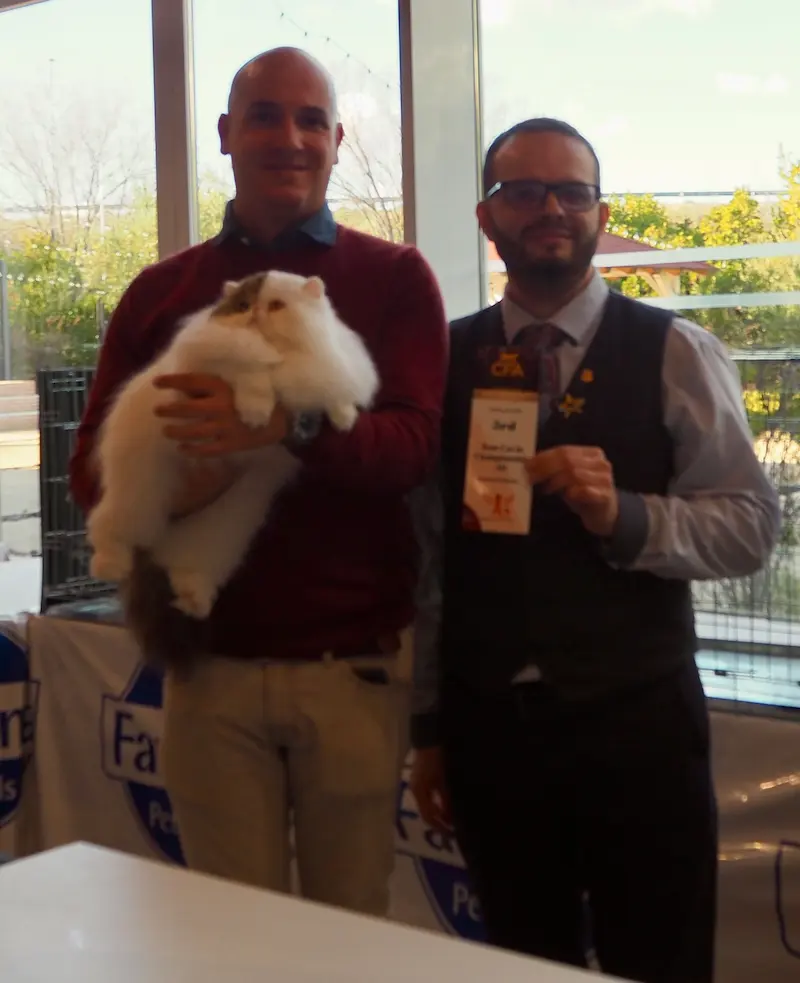 Imagen de la galería Resumen Fotográfico - Fenix Paw Parade International CFA Cat Show 2025 5