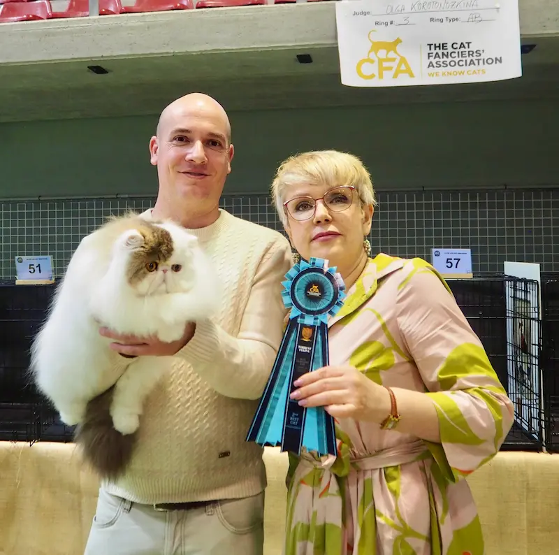 Foto del premio de GC RW Chicarabian Bandolero