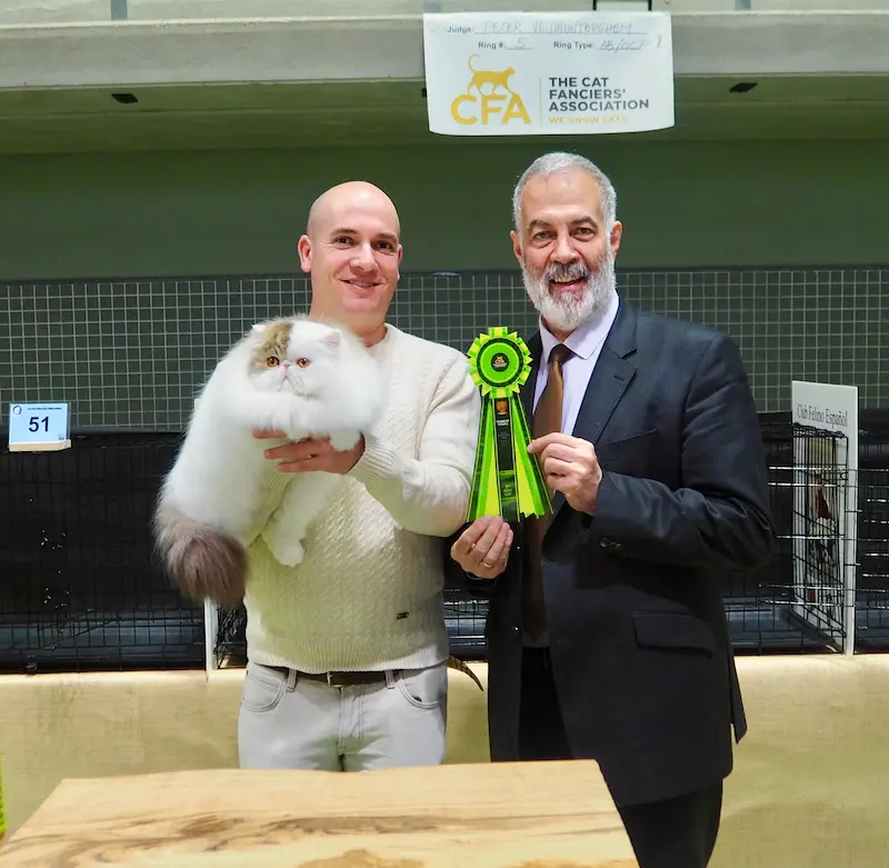 Foto del premio de GC RW Chicarabian Bandolero