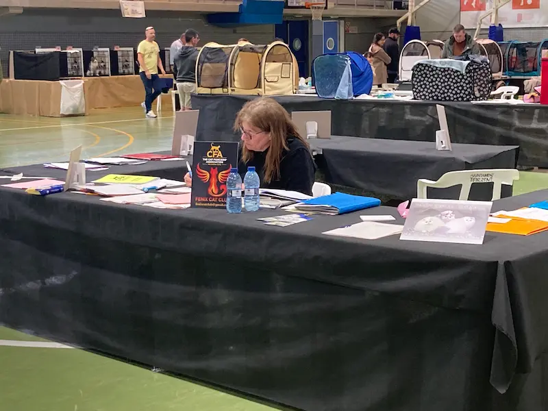 Imagen de la galería Resumen Fotográfico - 20th-21th International CFA Cat Show 5