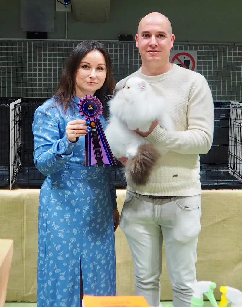 Imagen de la galería Resumen Fotográfico - 20th-21th International CFA Cat Show 11