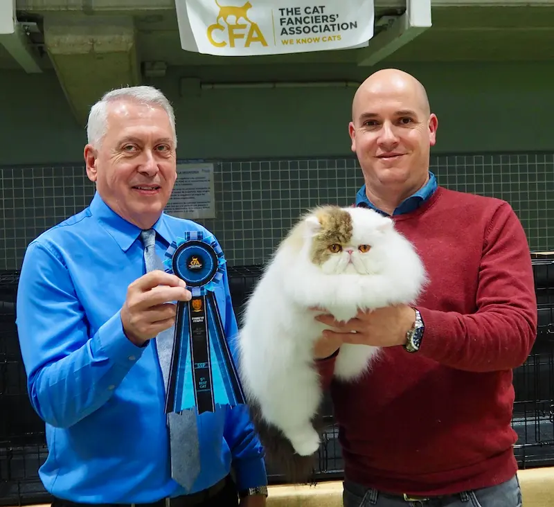 Imagen de la galería Resumen Fotográfico - 20th-21th International CFA Cat Show 12