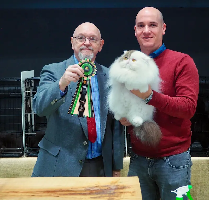 Imagen de la galería Resumen Fotográfico - 20th-21th International CFA Cat Show 14