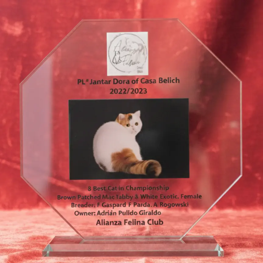 Imagen de la galería Fotos 4