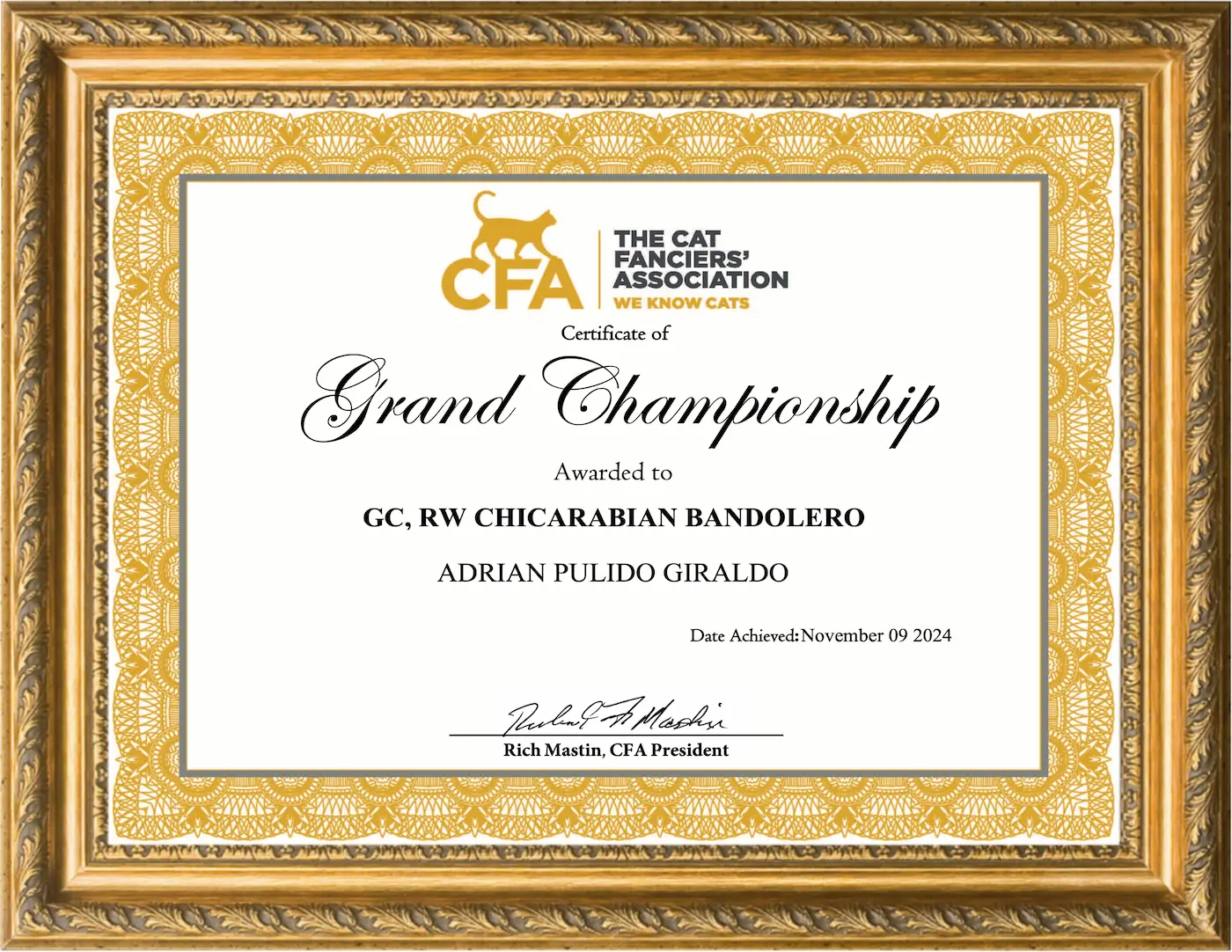 Imagen de Grand Champion