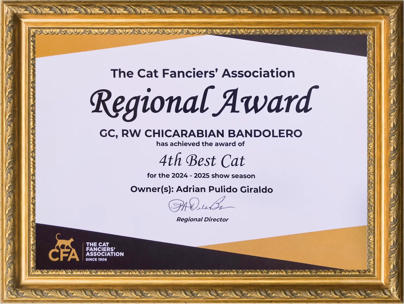 Imagen de Regional Winner Championship