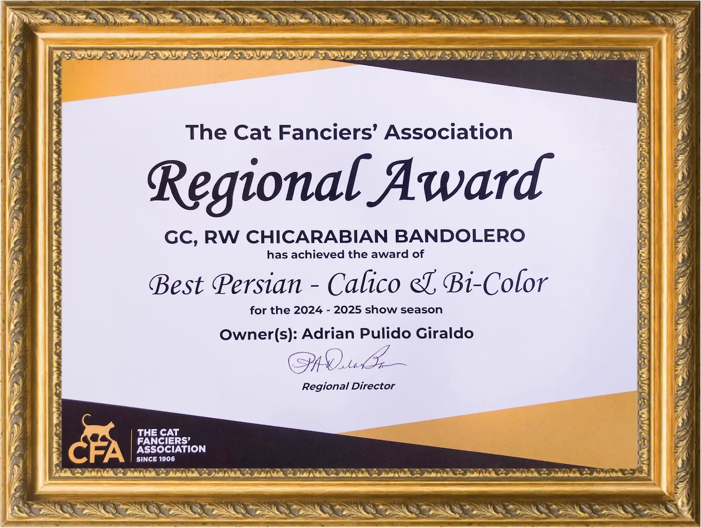 Imagen de Best of Breed