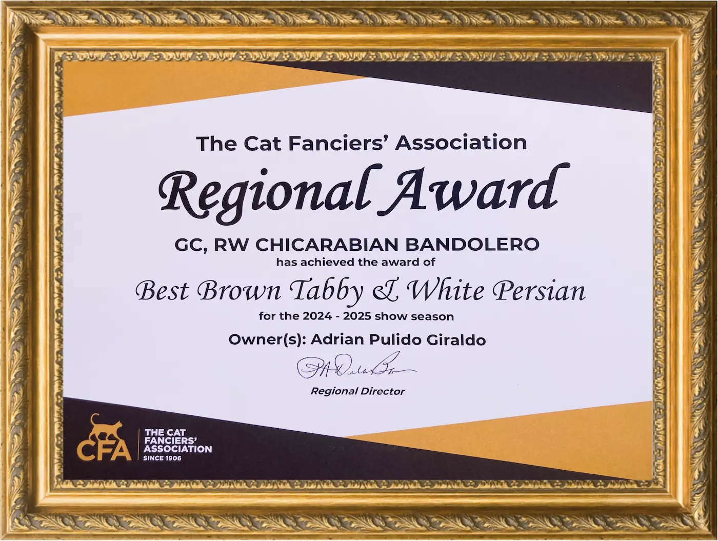 Imagen de Best of Color Class