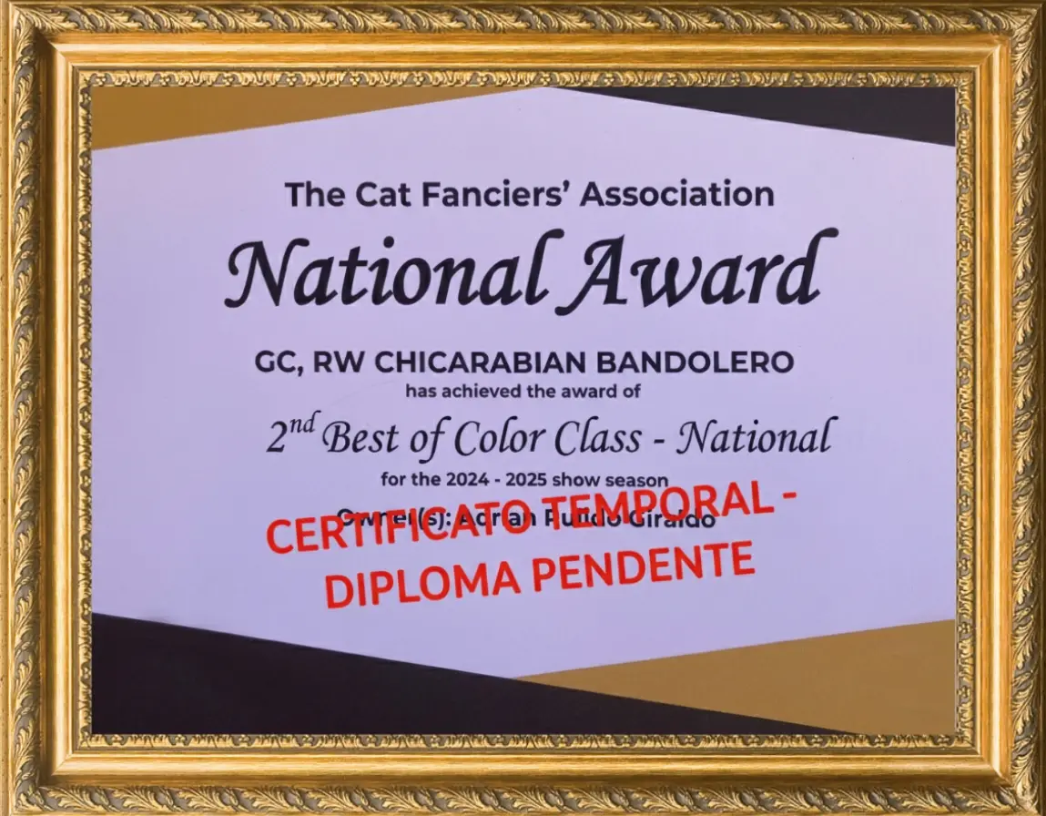 Imagen de 2nd Best of Color Class