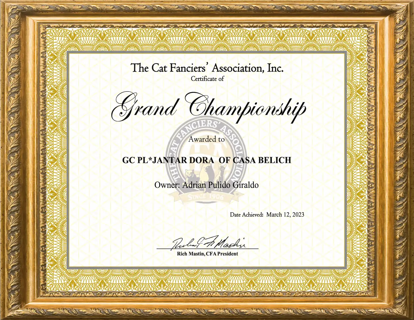 Imagen de Grand Champion