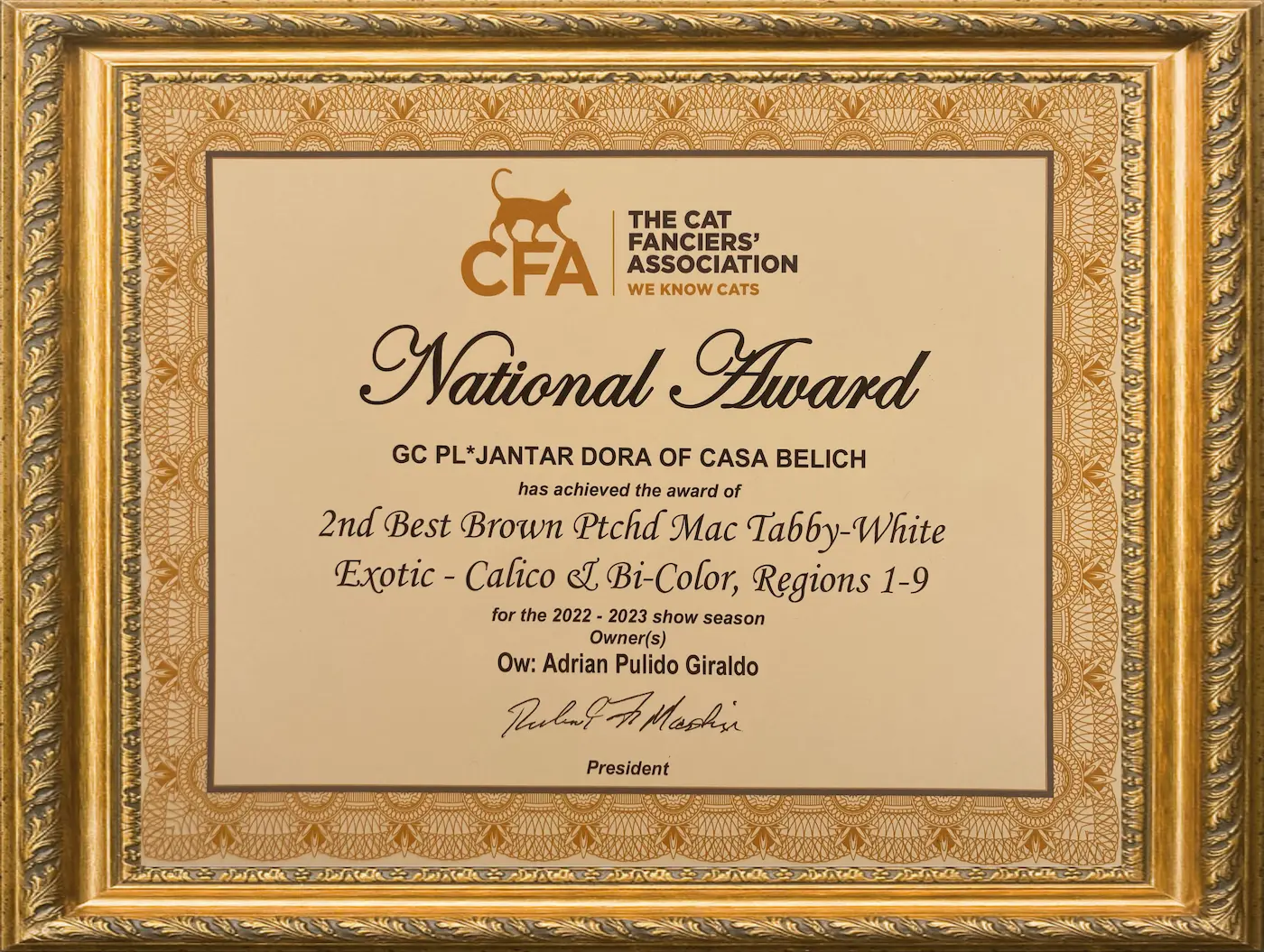 Imagen de 2nd BEST OF COLOR CLASS