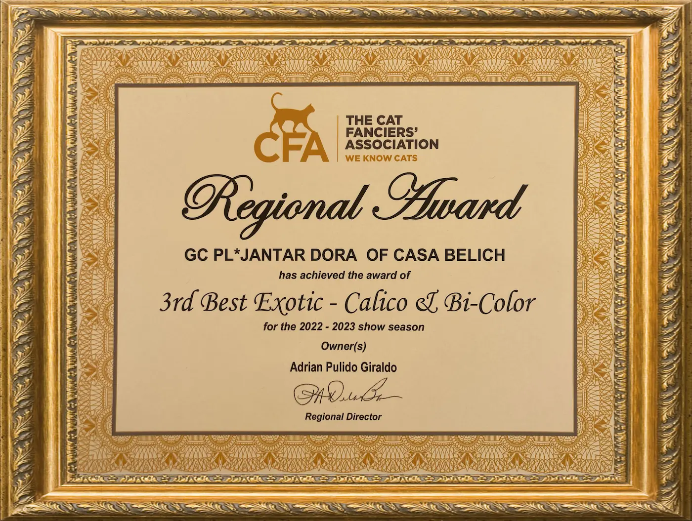 Imagen de 3rd BEST OF BREED