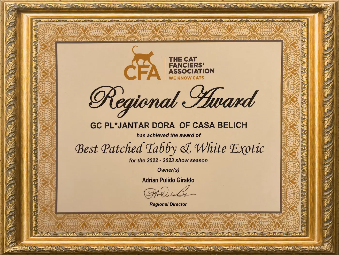 Imagen de BEST OF COLOR CLASS