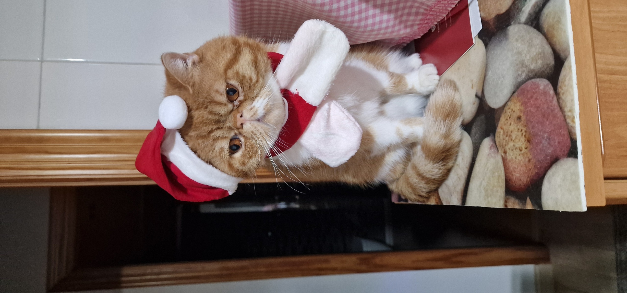 Familia de Nico de Casa Belich en Elche