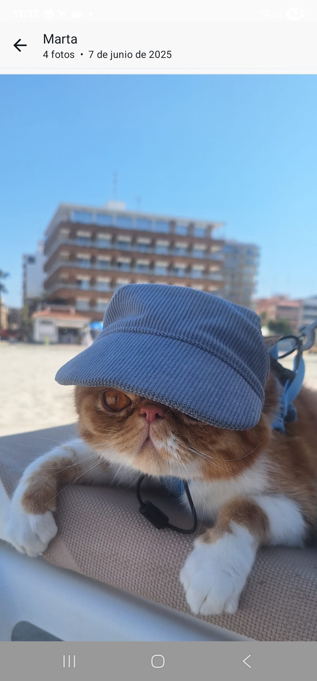 Familia de Nico de Casa Belich en Elche