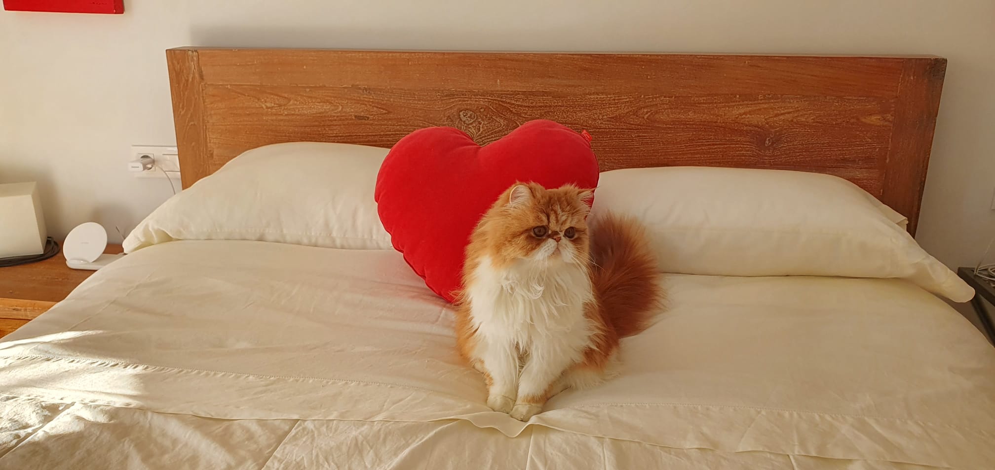 Familia de Mia de Casa Belich en San Vicente del Raspeig