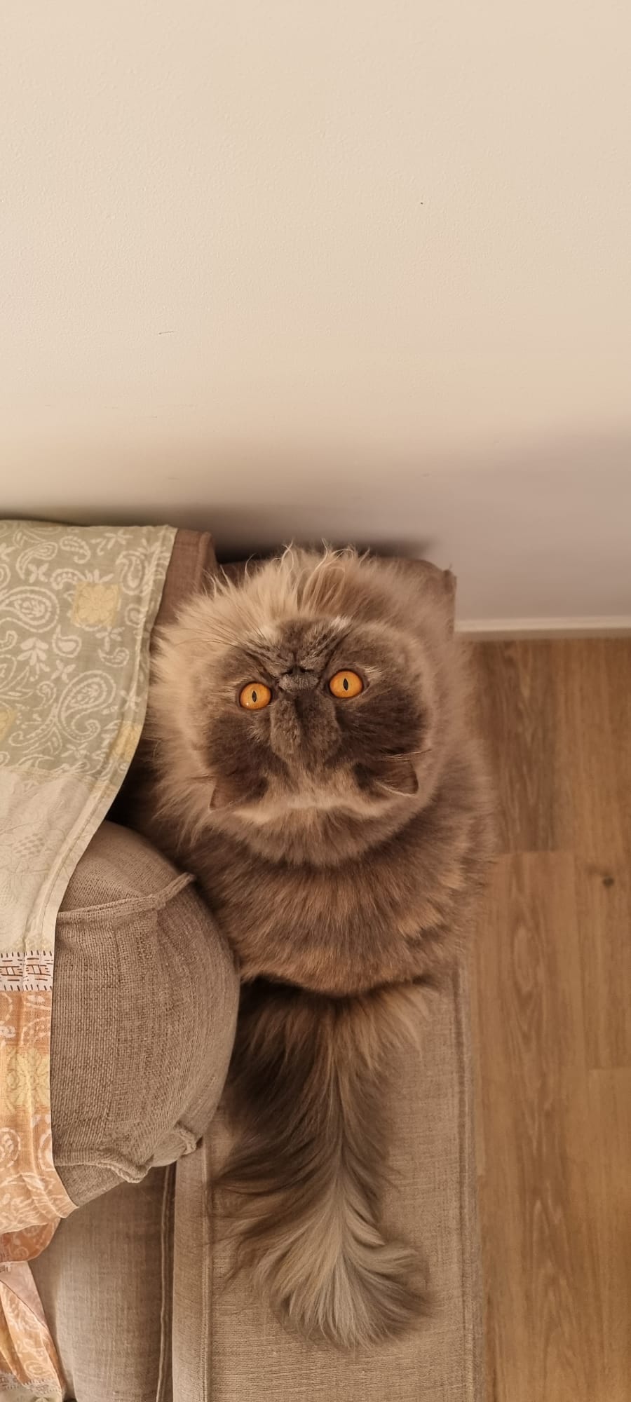 Familia de Casa Belich Blu en San Vicente del Raspeig