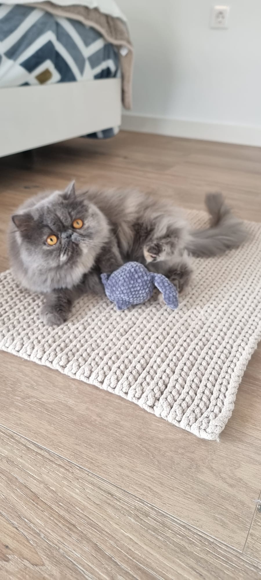 Familia de Casa Belich Blu en San Vicente del Raspeig