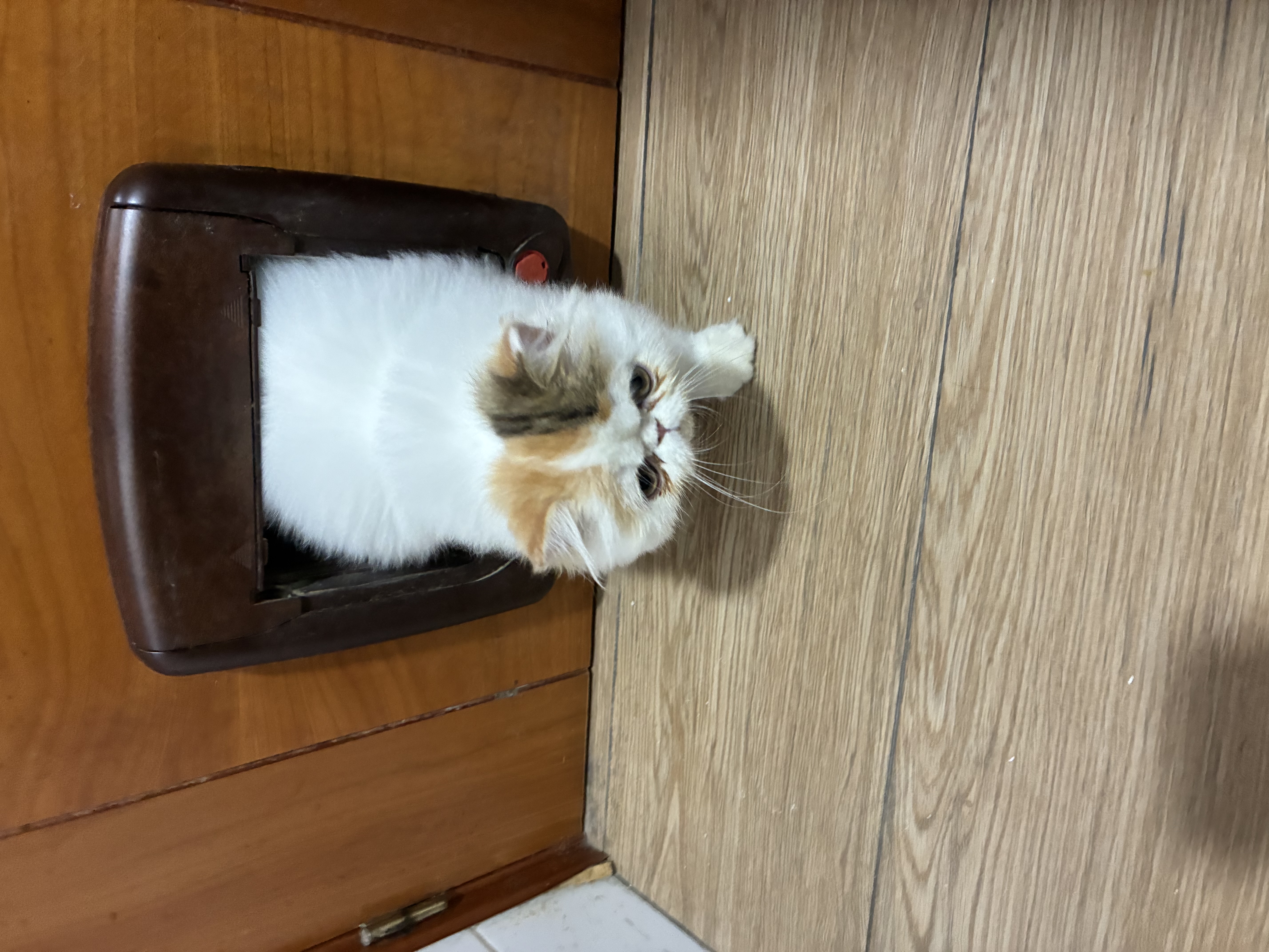 Familia de Casa Belich Sina en Zaragoza