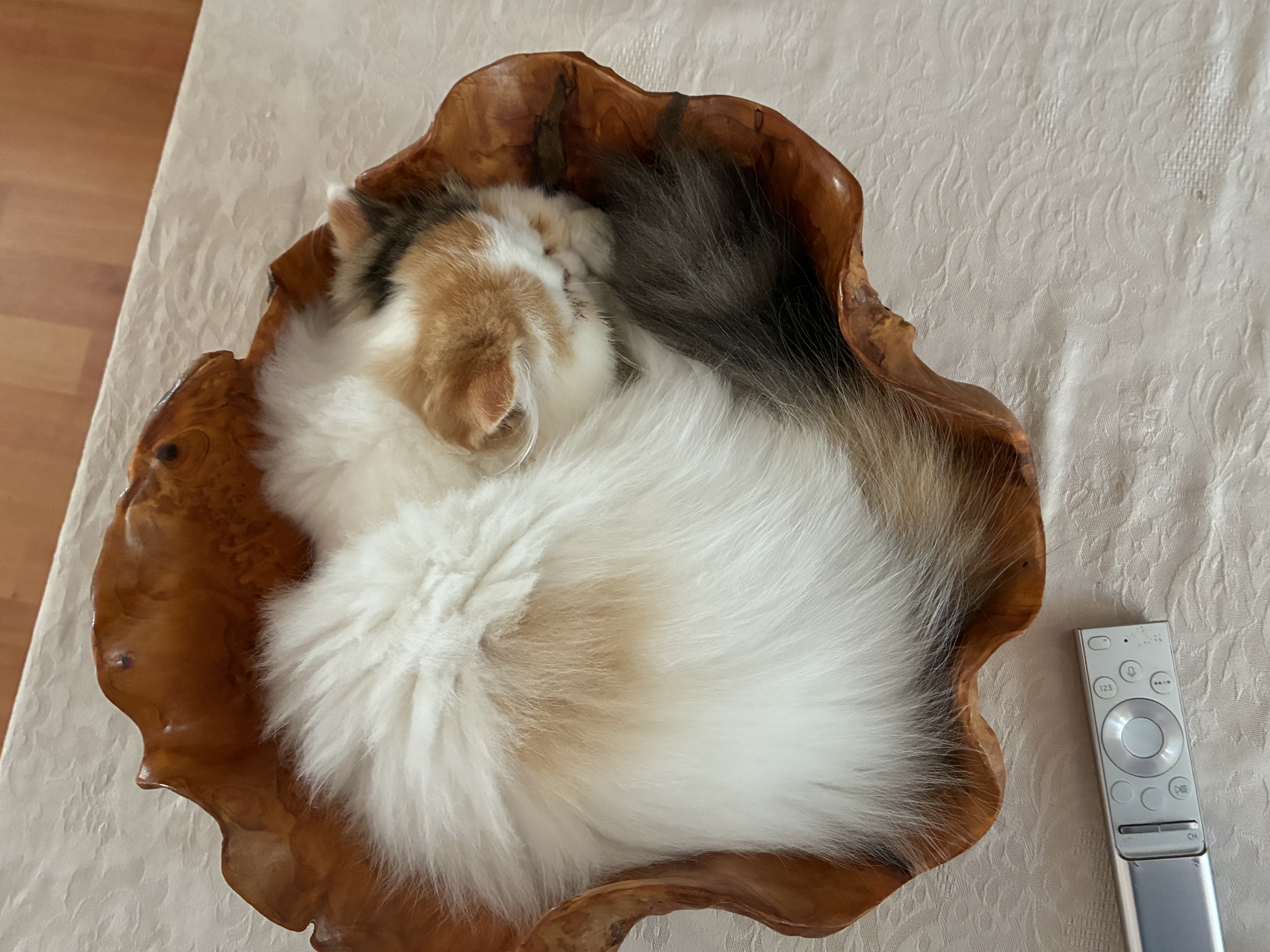 Familia de Casa Belich Sina en Zaragoza