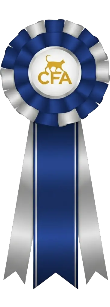 Roseta: 2nd Best AB Champion