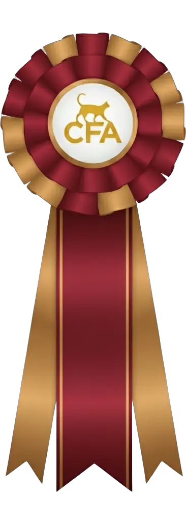 Roseta: 2nd Best LH Champion