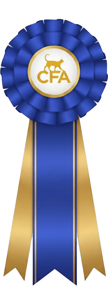 Roseta: 9th Best Cat AB