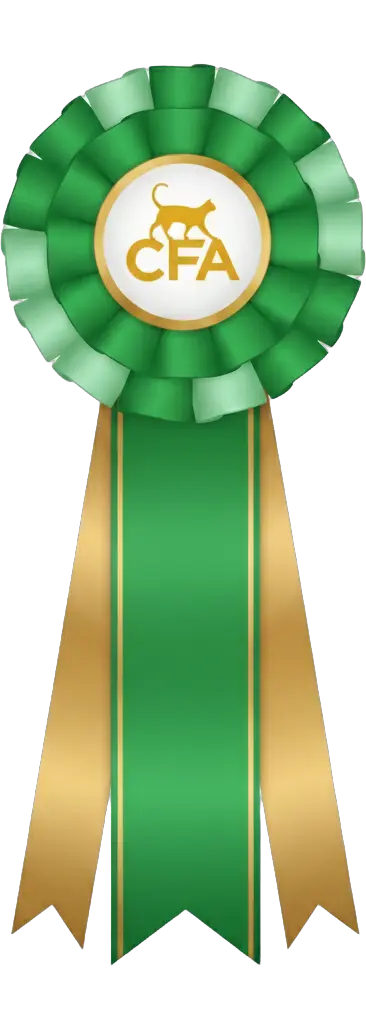 Roseta: 6th Best Cat LH